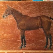 Hydravion_before_raking_light