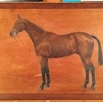 Hydravion_before_treatment