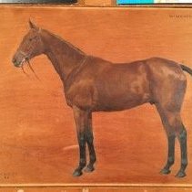 Hydravion_during_normal_light