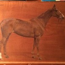 Calda_after_raking_light