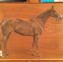 Calda_after_treatment