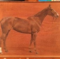 Calda_before_normal_light