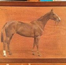 Calda_before_treatment