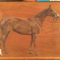 Calda_during_normal_light