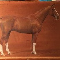 Souriant_after_raking_light