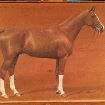 Souriant_after_treatment