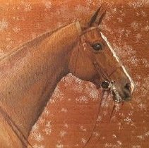 Souriant_before_detail_head