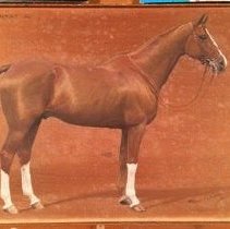 Souriant_before_normal_light