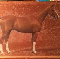 Souriant_before_raking_light