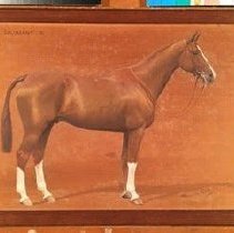 Souriant_before_treatment