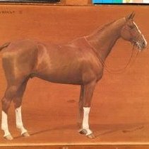 Souriant_during_normal_light