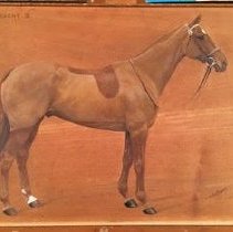 Vifargent_after_normal_light