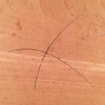 Vifargent_before_back_detail2