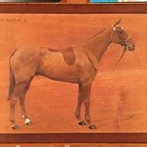 Vifargent_before_treatment