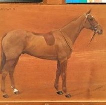 Vifargent_during_normal_light