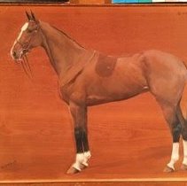 Dame_after_normal_light