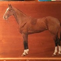 Dame_after_raking_light