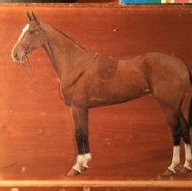 Dame_before_raking_light