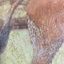 Hollams_before_varnish_bloom_blanching_paint