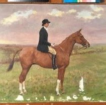 Hollams_during_treatment_normal_light