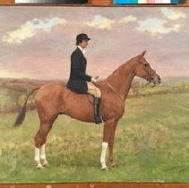 Hollams_after_normal_light