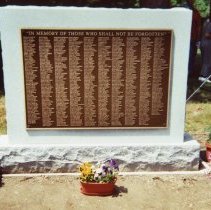 Community League -  Wassaic Chapter -  Cemetery Project