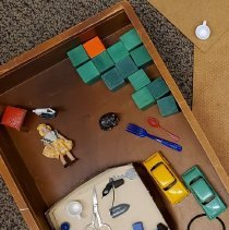 Stanford Binet IQ Scales