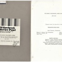 Willowbrook Review Panel Audit