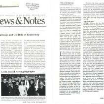 Willowbrook: The Community Challenge and the Role of Leadership