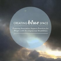 Creating Blue Space: Fostering Innovative Support Practices for People with Developmental Disabilities