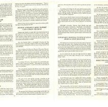 Government in Brief - Volume 4, Number 4