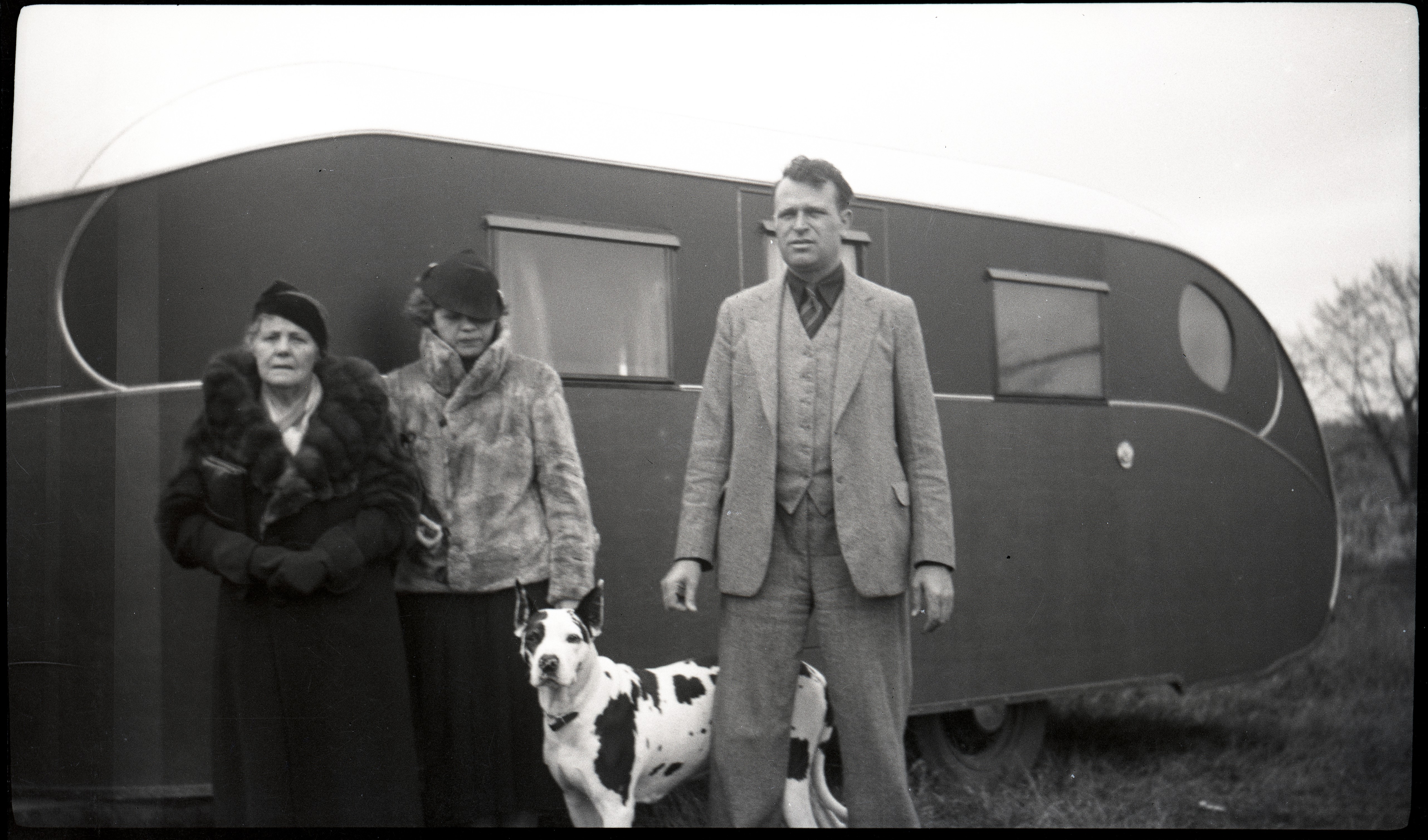 Vakeck Kennels Exhibit