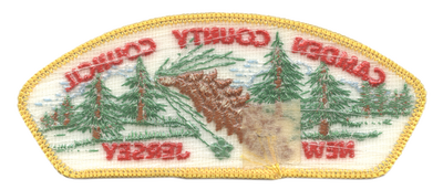 Camden County T-2a (back)