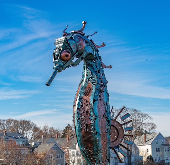 Projects Keep The Seahorse In Salem Patronicity