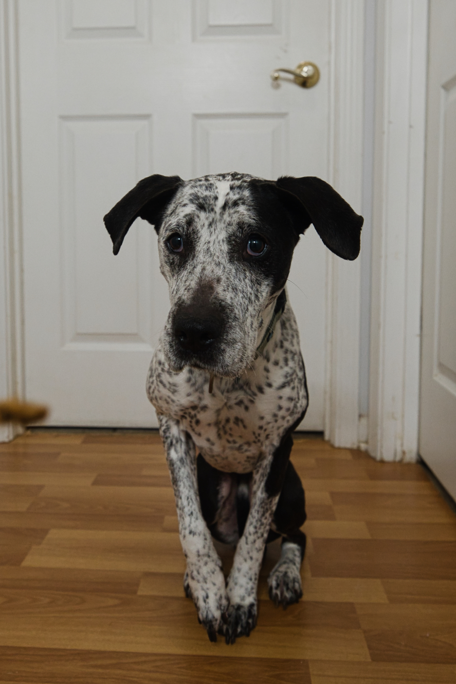 Isabelle - Photo 13