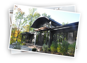 The Treehouse Project