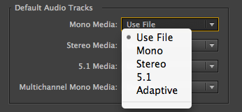 14 Ways To Fix Premiere Pro Cc Playback Lag Issues