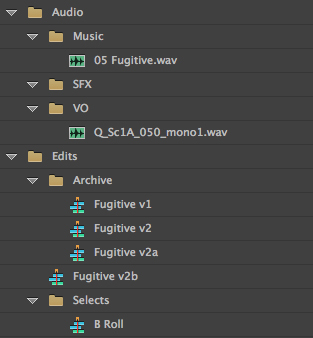 Video Editing Project Organization Video Editing Project Organization