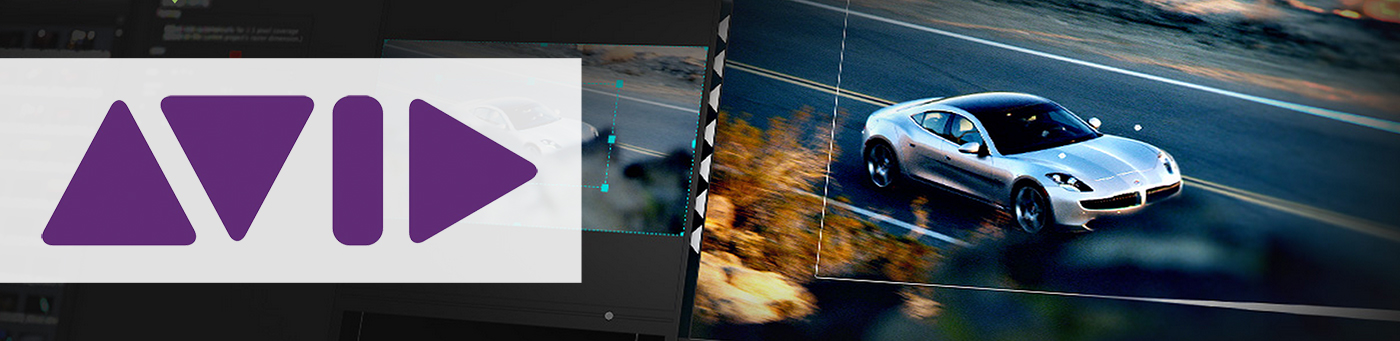 Avid Video Editing