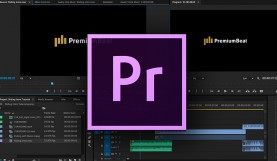 Best premiere export options