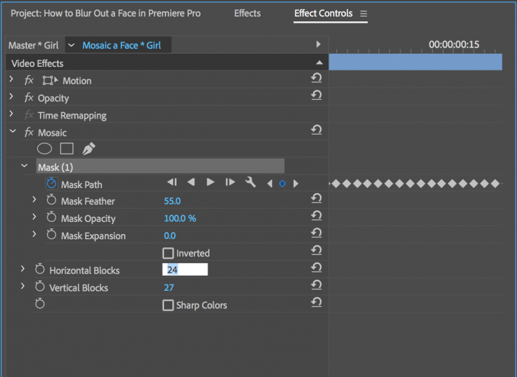 Mosaic-a-Face-in-Premiere-Pro-04-e1508487354850.png