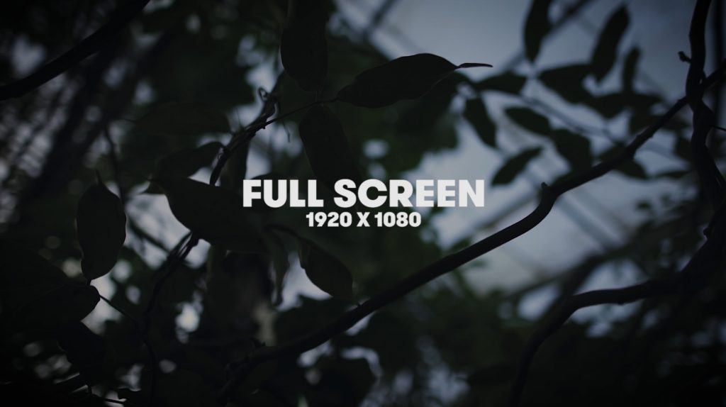 How to Choose the Best Aspect Ratio for Your Video