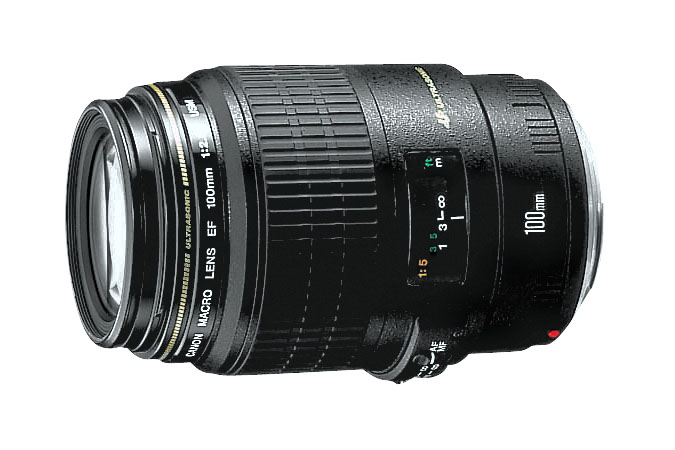 Buyer’s Guide: The Best Macro Lenses on the Market — Canon 100mm Buyer’s Guide: The Best Macro Lenses on the Market — Canon 100mm