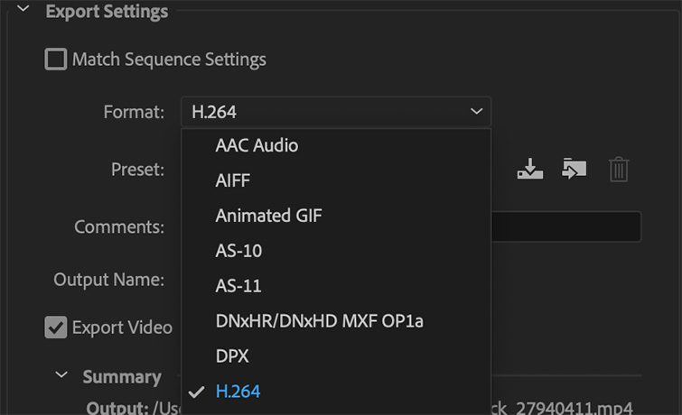 hevc codec premiere pro cc