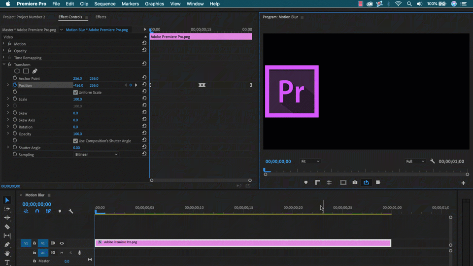 premiere pro motion blur