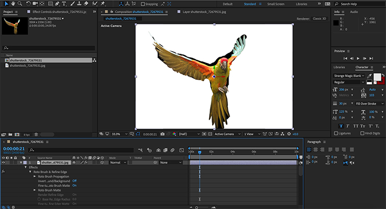 final cut pro v premiere pro