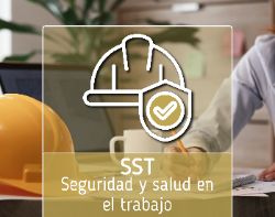 Requisitos Legales de SST