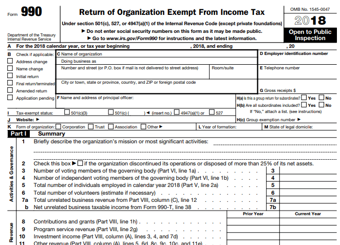 Form 990 Online Image