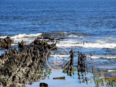 La Paloma - Localidad