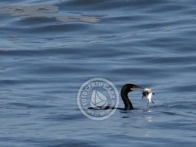 Punta del Diablo - Localidades 